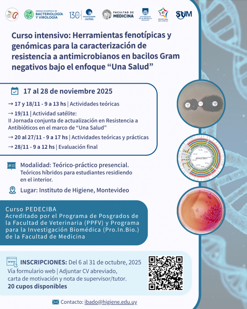LRA PEDECIBA 1