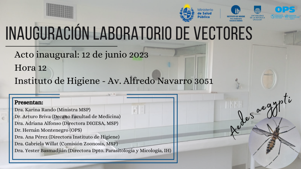 NUEVO Presentación - Laboratorio de Vectores