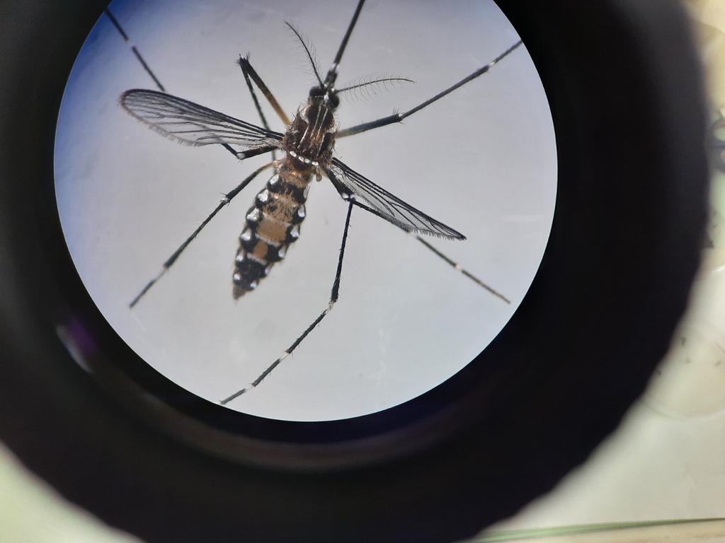 WhatsApp Image 2026-04-07 at 09.45.13